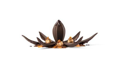 Jordi Roca's Flor de Cacao