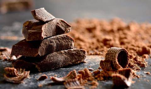 Barry Callebaut introduces sensory language