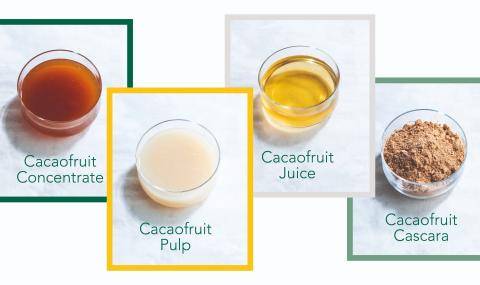 Cups_Ingredients Cabosse Naturals