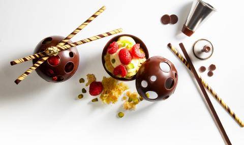 Barry Callebaut Annual General Meeting Raspberry Sphere