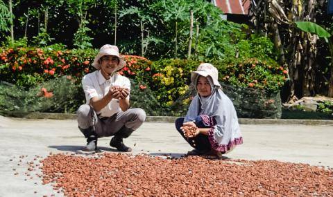 Cocoa Horizons in Indonesia