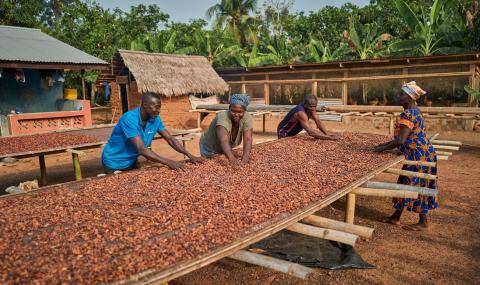 Prospering Farmers - Forever Chocolate