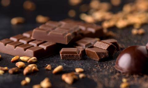 Barry Callebaut and Planet A Foods Partner to Pioneer Sustainable Chocolate Alternatives Without Cocoa 