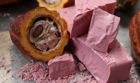 Barry Callebaut formally launches ruby,  the fourth type, in the United States and Canada