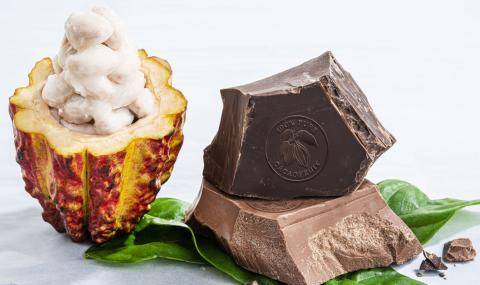 Barry Callebaut WholeFruit Chocolate