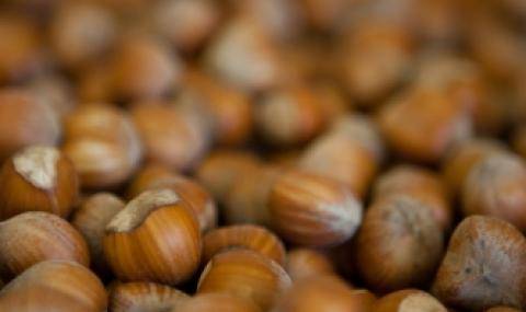 La Morella Nuts