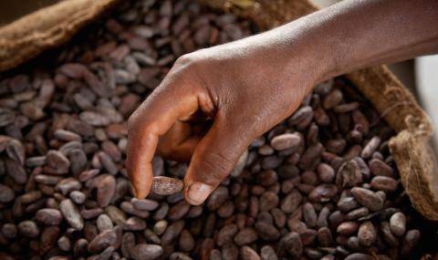 Over CHF 20 million premiums paid to cocoa farmers in FYR 2014/15