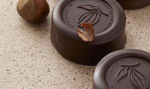 Barry-Callebaut-sustainable-chocolate-2022