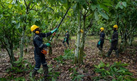 Prospering farmers 2022 sustainability Barry Callebaut