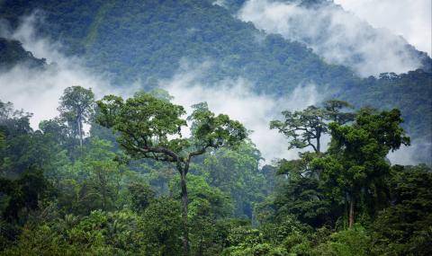 Barry Callebaut transparency deforestation climate change