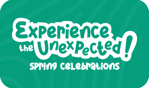 Experience the unexpected