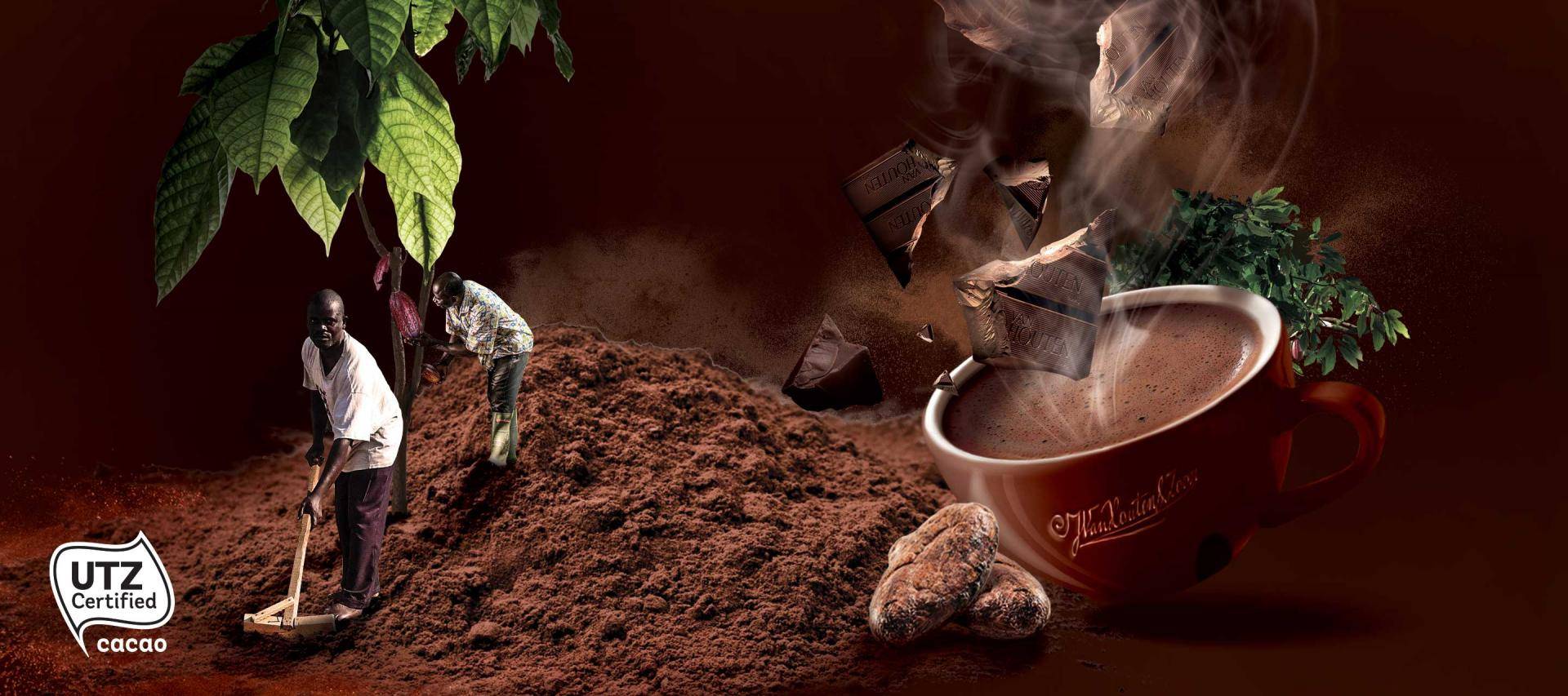 Sustainable Cocoa Growing Programme