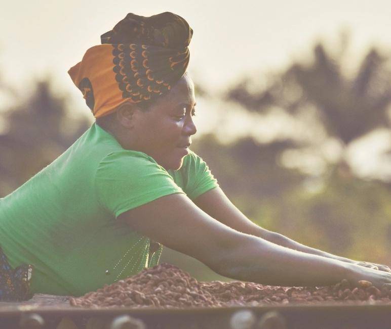 Cocoa Horizons Foundation results