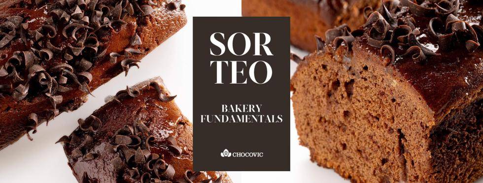 Recetario bolleria Bakery Fundamentals chocolate