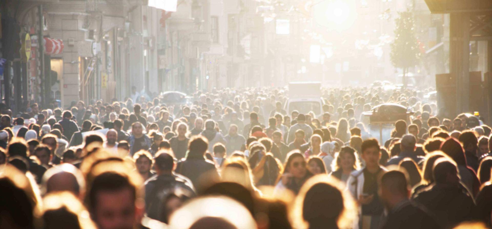 Consumer Trends & Insights