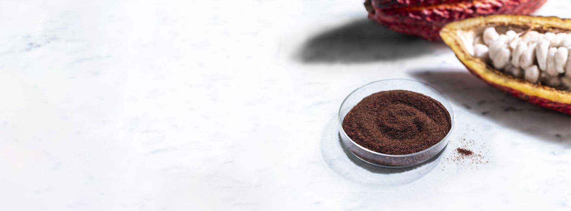 cacaofruit powder with cacaofruit