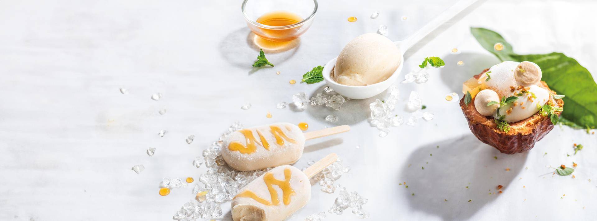 cacaofruit ice cream
