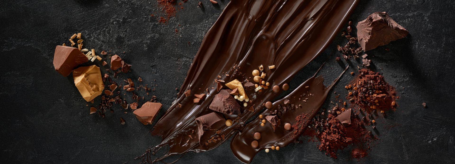 Barry Callebaut Group - Our strategy