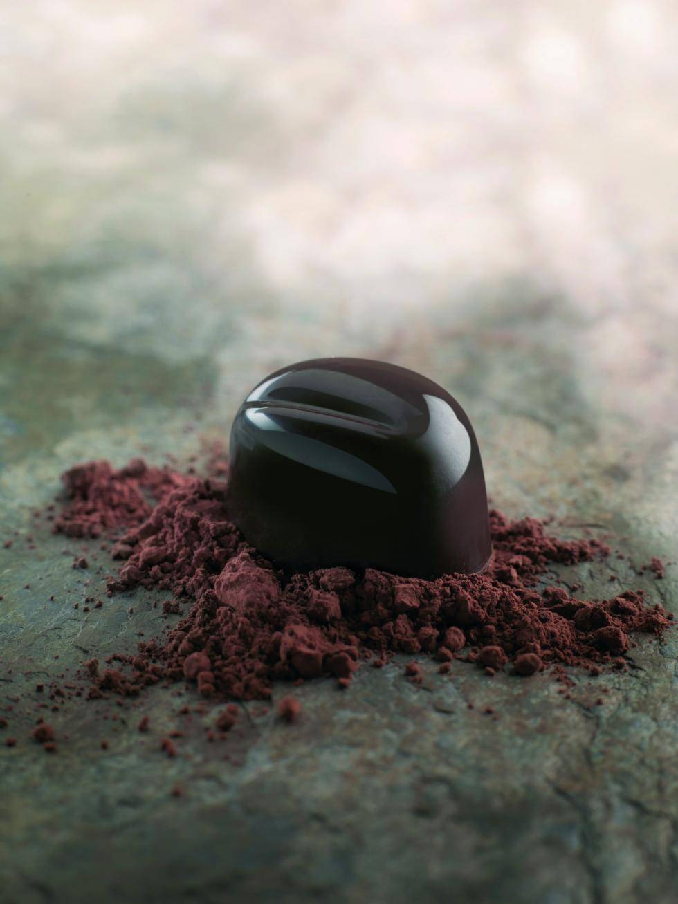 Barry Callebaut dark cocoa powder