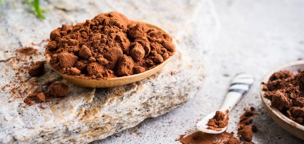 Organic Cocoa Powders from Bensdorp