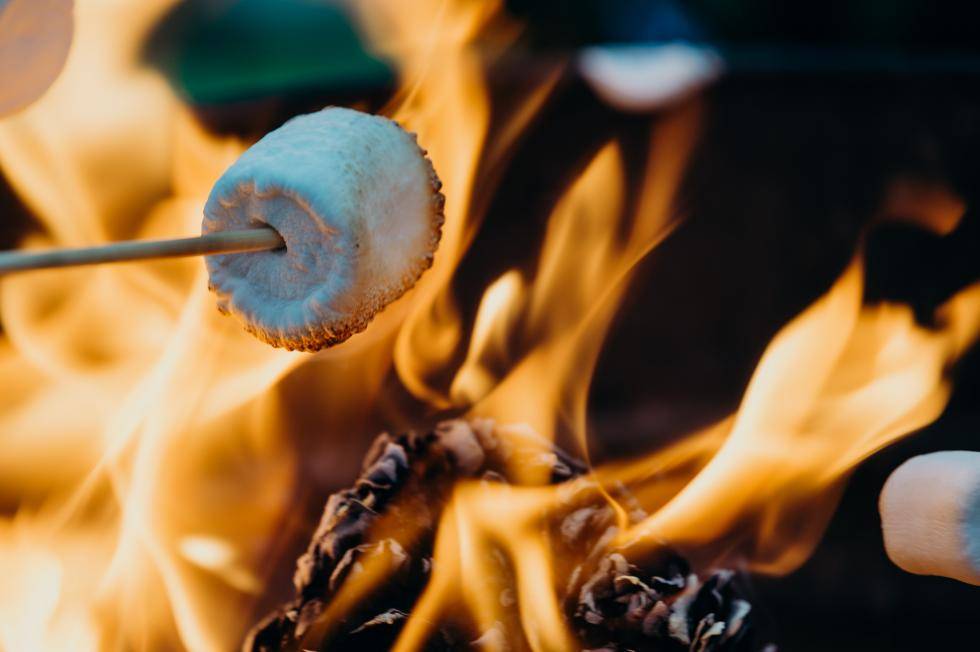 Barbecuing a marshmallow to make a s’more. Photo by Leon Contreras on Unsplash