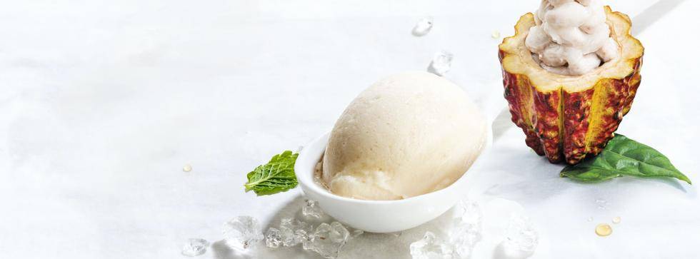 ice cream with cacaofruit