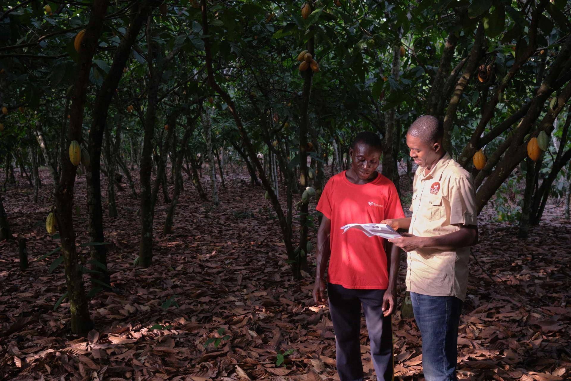 Farm mapping