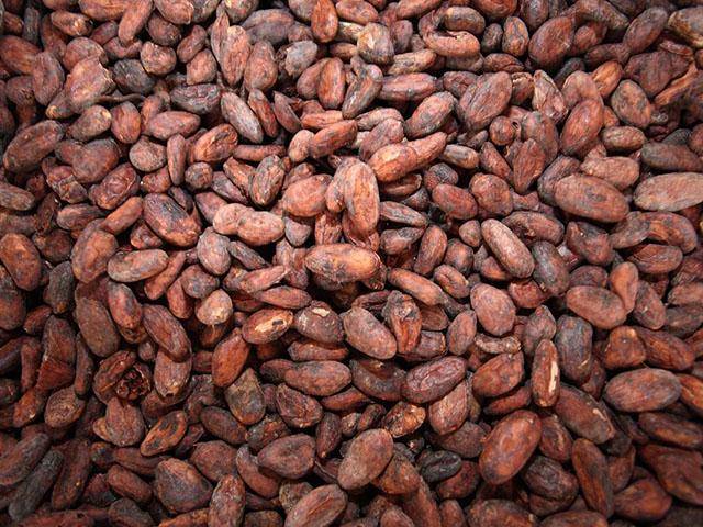 Premium cocoa beans
