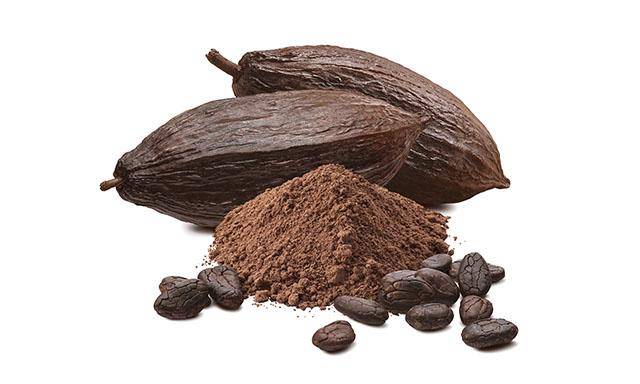 Van Houten Santo Domingo -story origin cocoa beans