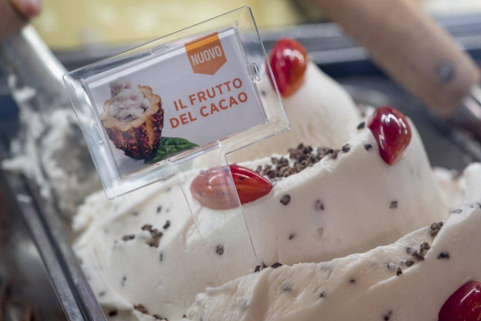 Gelato made with cacaofruit