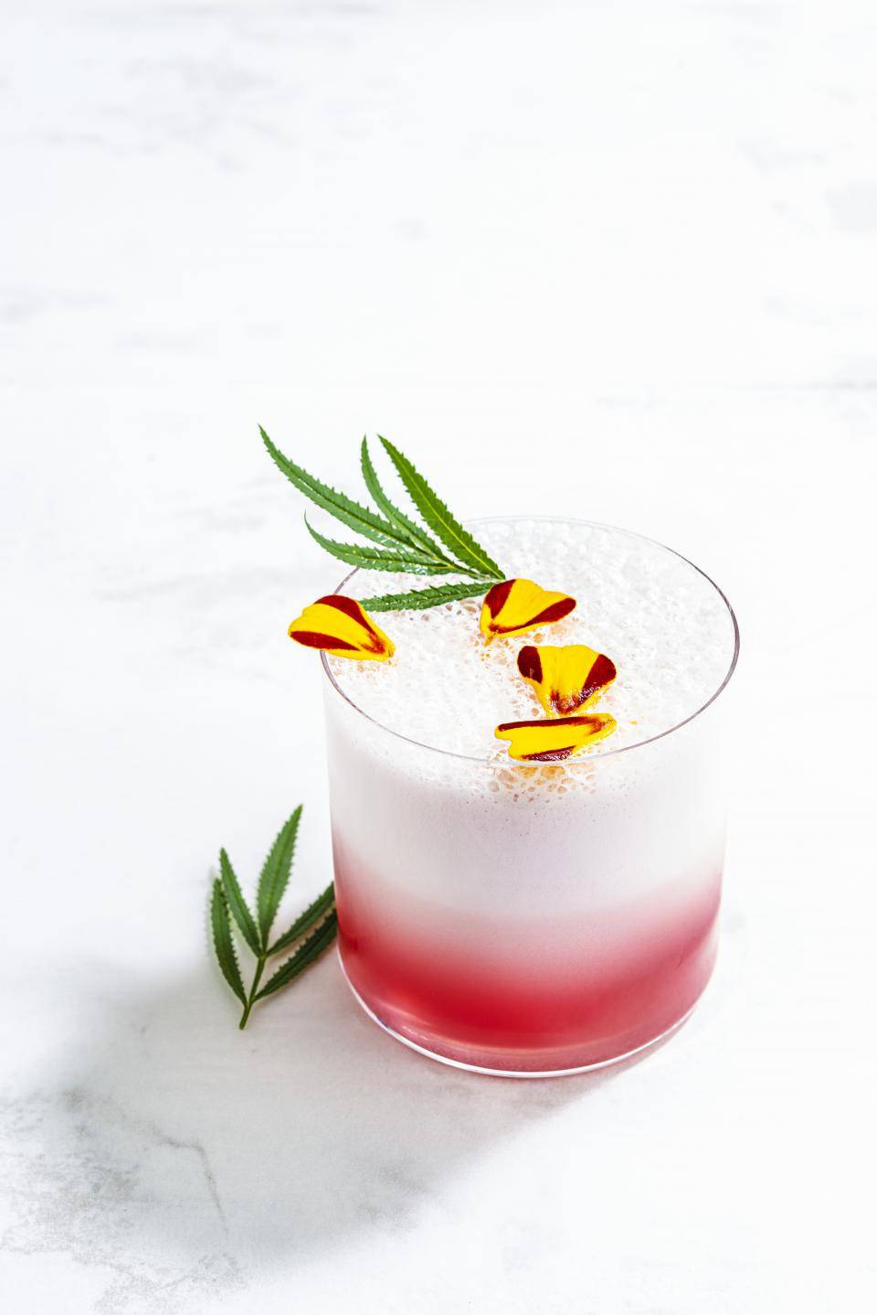 cacaofruit cocktail drink