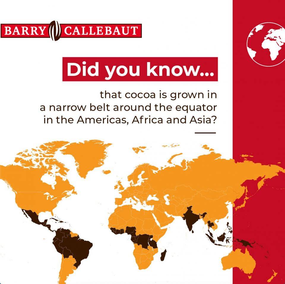 Where is cocoa grown - Barry Callebaut