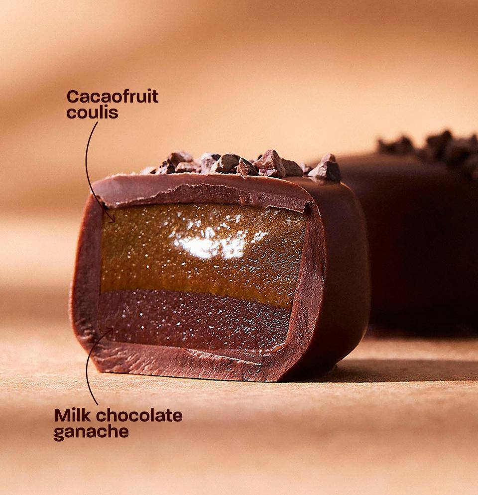 cacaofruit bonbon