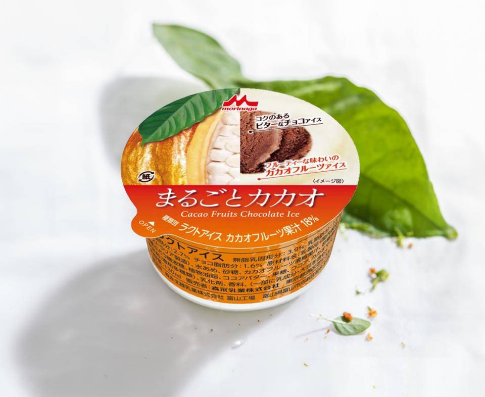 marugoto cacaofruit ice cream