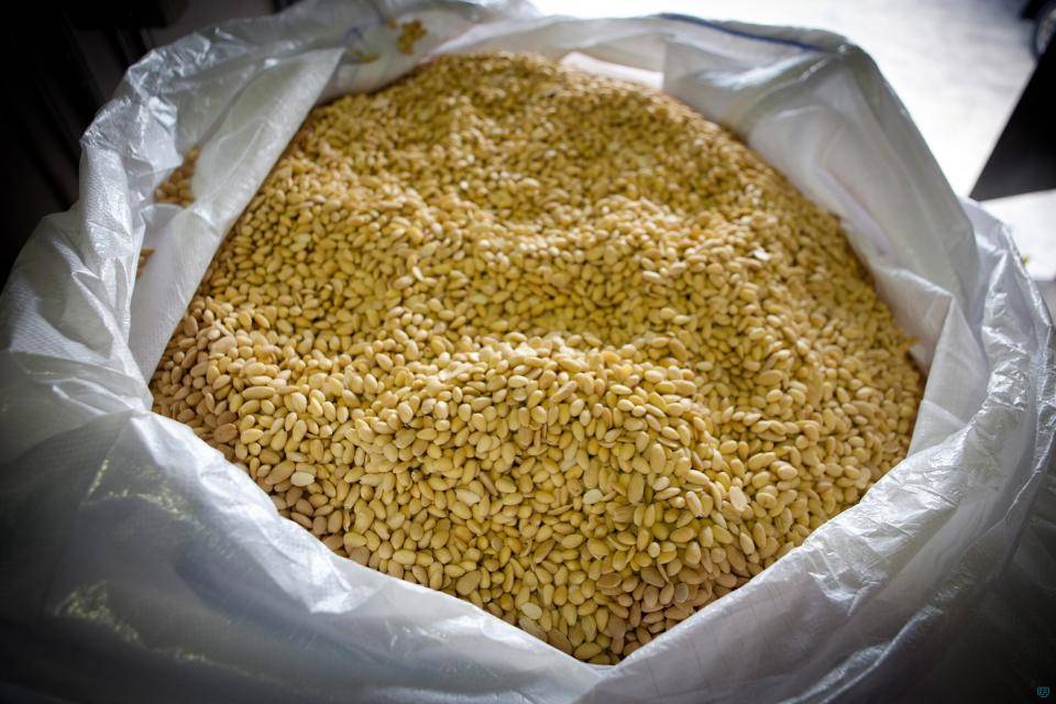 Almond pieces in a bag