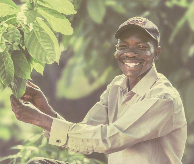 Cocoa Horizons