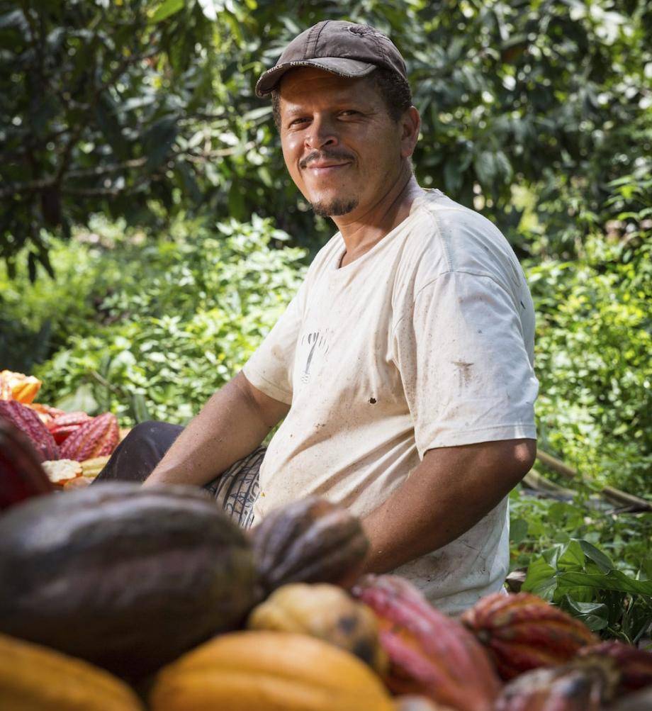 Boosting cocoa cultivation Brazil