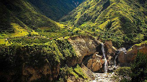 Promising growth in Ecuador cocoa farming