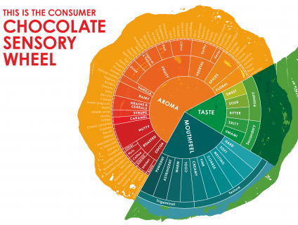 chocolate sensory wheel