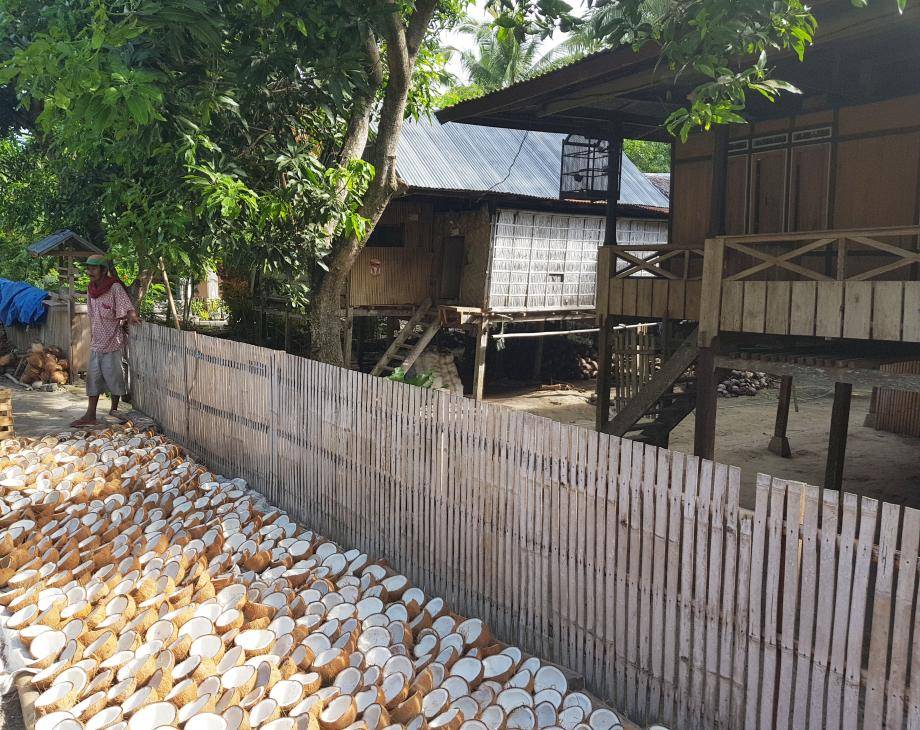 coconut farmer