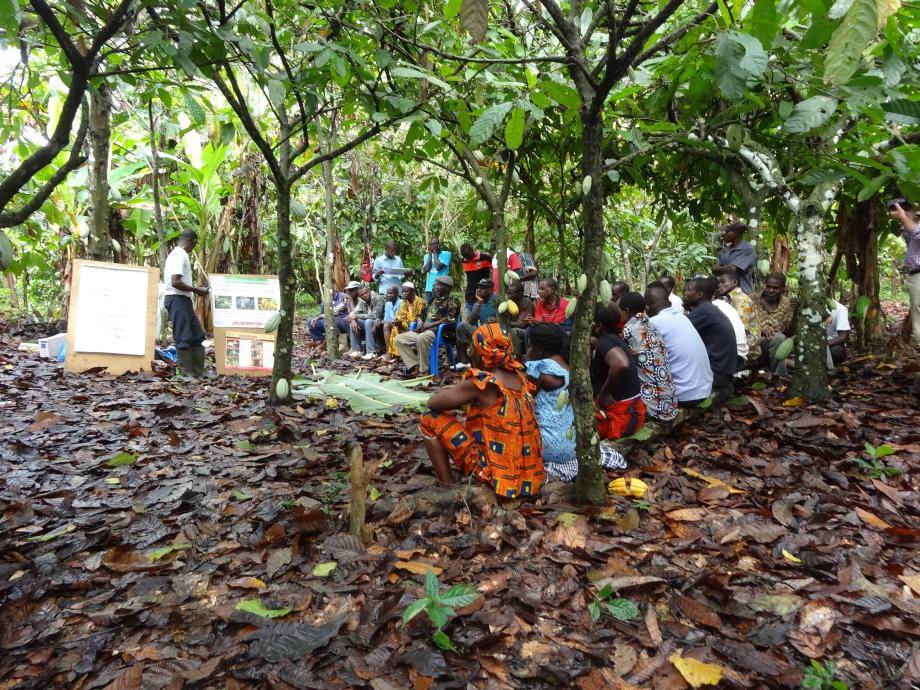 Farmer training