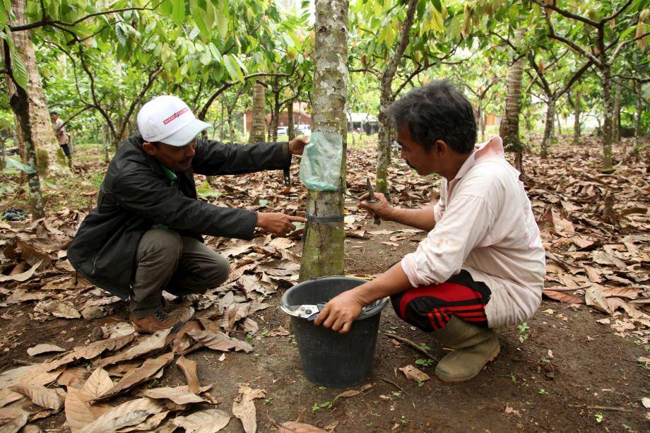 Thriving Nature Our Approach - Barry Callebaut