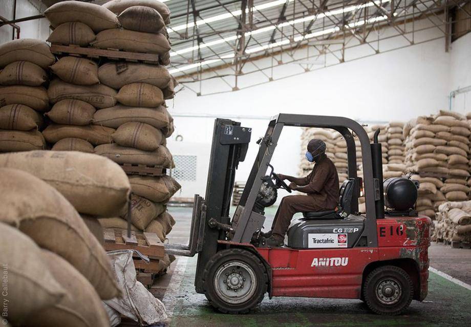 cocoa supply chain