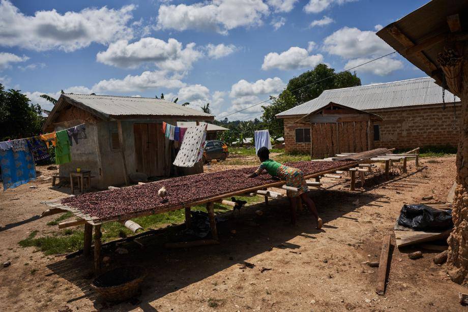 Barry Callebaut Cocoa Farmer in Ghana