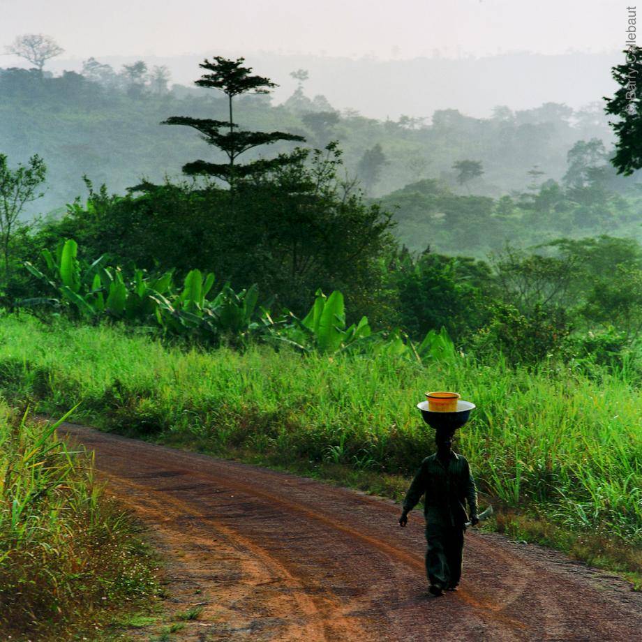 ecosystem restoration project in Côte d’Ivoire