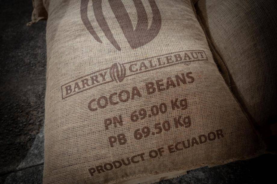Sustainable cocoa - Forever Chocolate