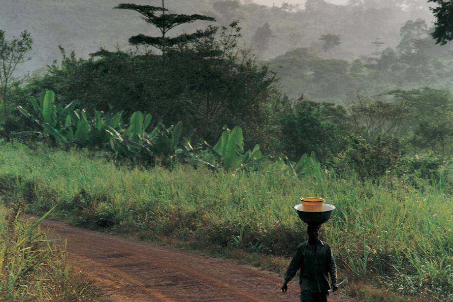 Carbon and Forest positive by 2025