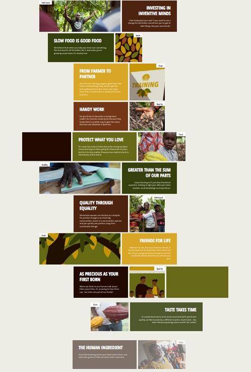 cocoa chronicles infographic