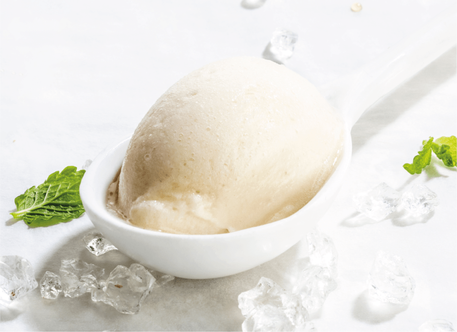 cacaofruit sorbet