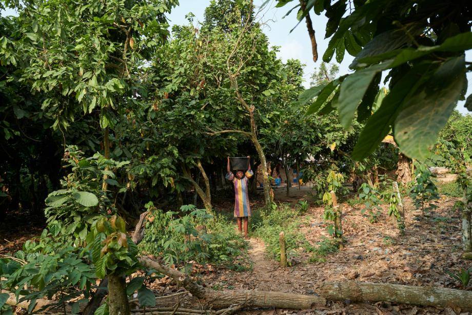 child-centered approach child labor